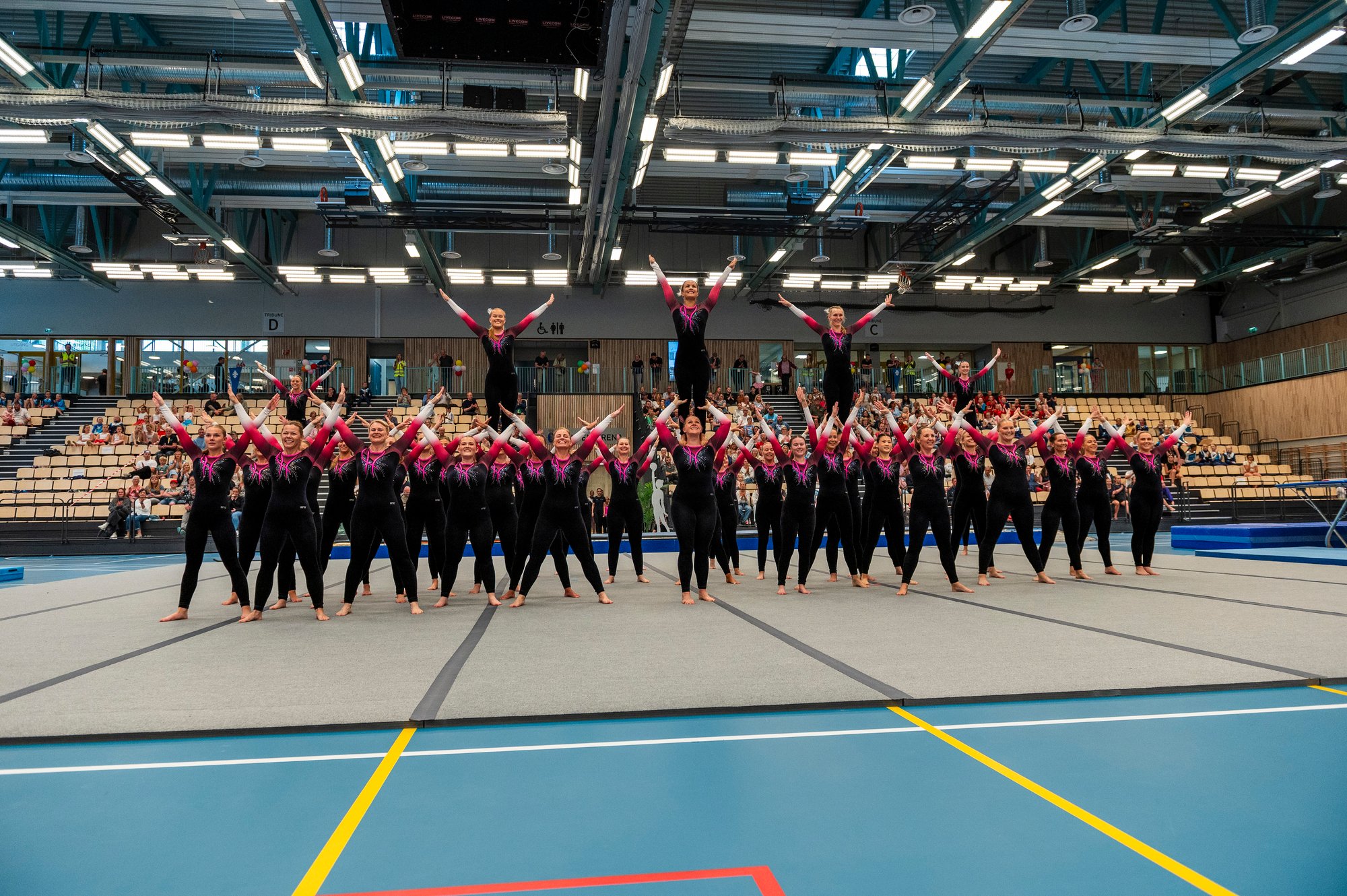 2025-06-Sommeroppvisning-223-1 2025-06-Sommeroppvisning-223-1