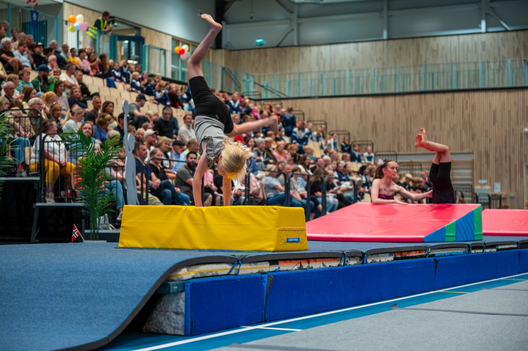 2025-06-Sommeroppvisning-43