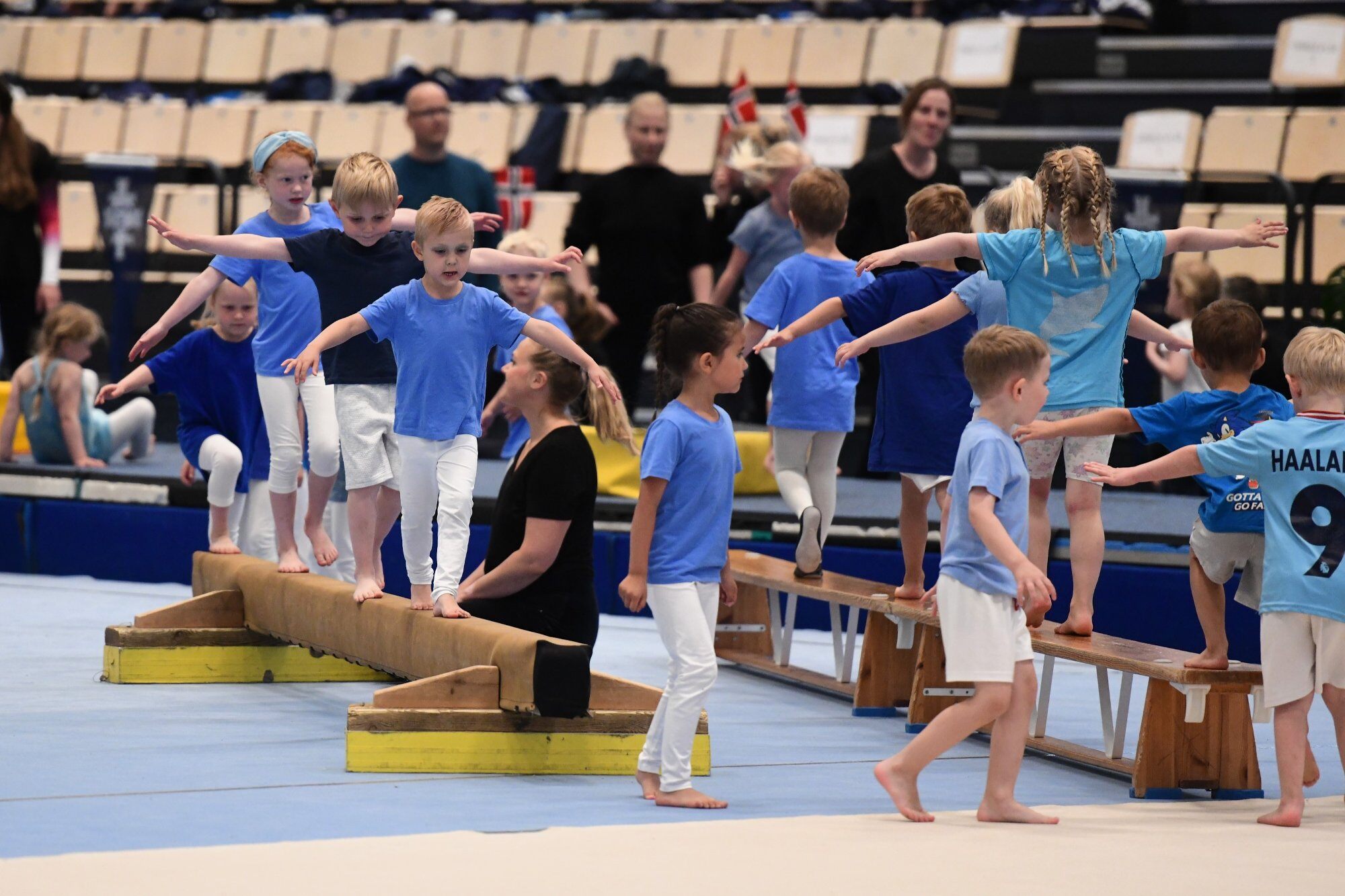 Sommeroppvisning+-+Fredrikshalds+Turnforening+(20)-1